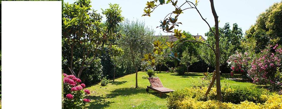 Bed and Breakfast Al Piano Di Sopra Massarosa Exteriér fotografie